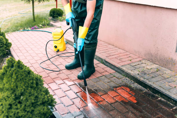 Best Sidewalk and Walkway Cleaning  in Benavides, TX
