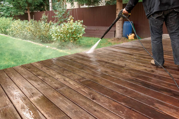 Best Driveway Pressure Washing  in Benavides, TX